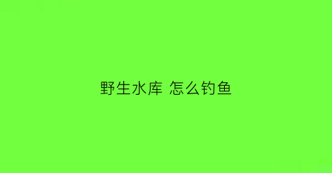 野生水库怎么钓鱼(野生水库钓鱼用什么饵料)